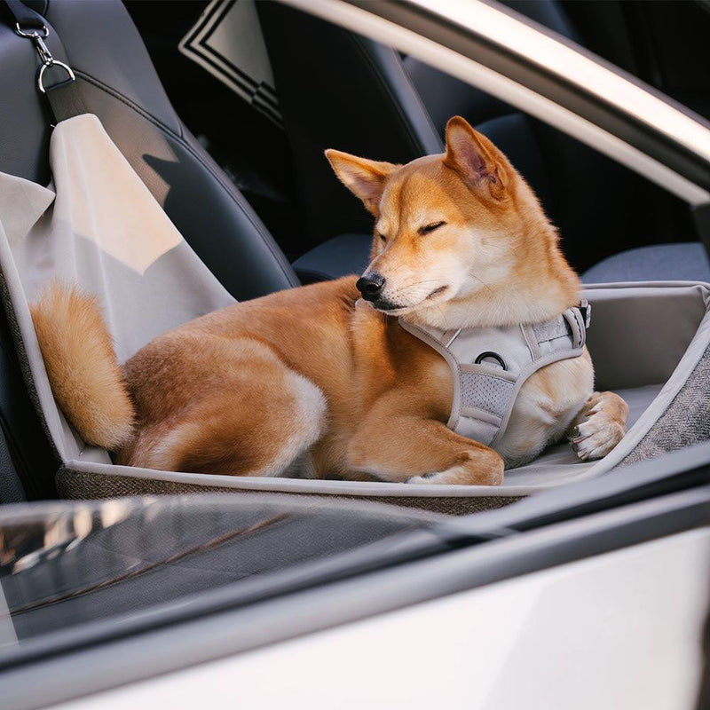 Cama de pet para carro com assento espesso