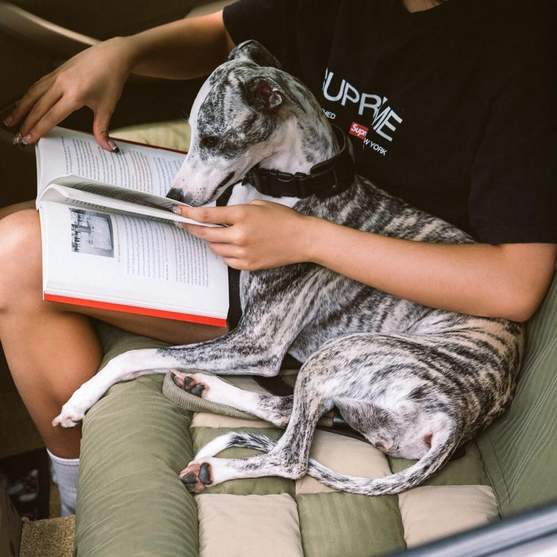 Cama de pet grande para carro com almofada de segurança para viagem